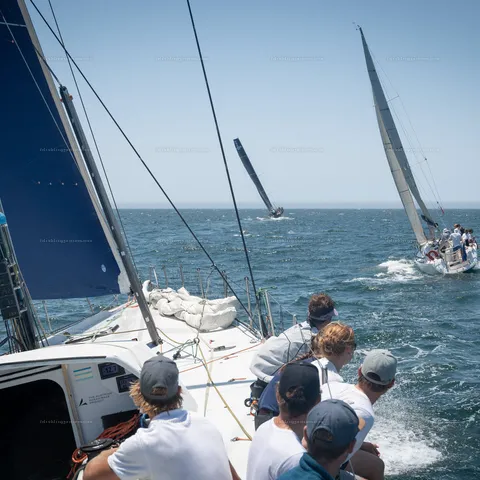 Austrian Ocean Racing, VO65 – Segeln – Bild 39 von 86
