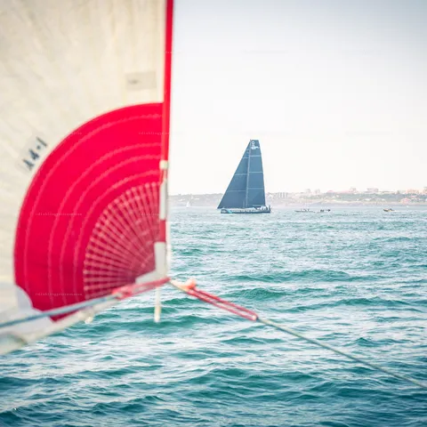 Austrian Ocean Racing, VO65 – Segeln – Bild 20 von 86