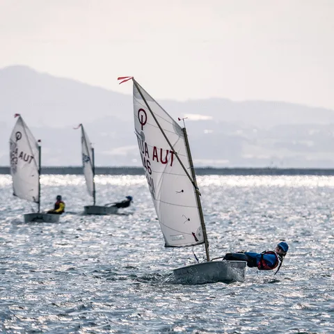 Opti, Manfred Wasmund Regatta – Sailing – photo 54 of 65