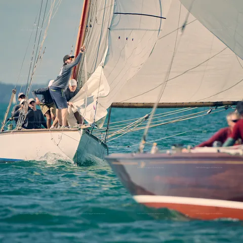 Peri Cup 2026, Lindau Bodensee – Sailing – photo 34 of 53