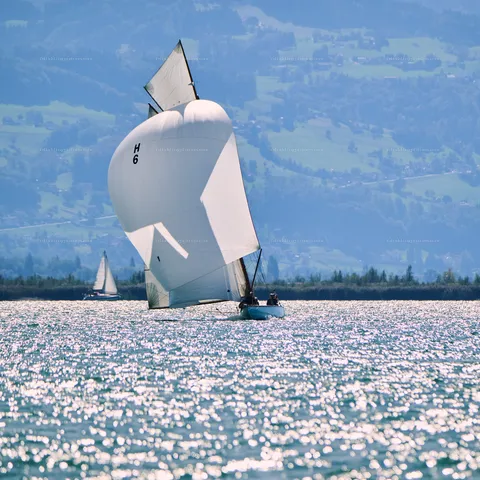 Peri Cup 2026, Lindau Bodensee – Sailing – photo 46 of 53