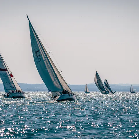 Rund Um 2022 – Sport, Segeln – Bild 8 von 38