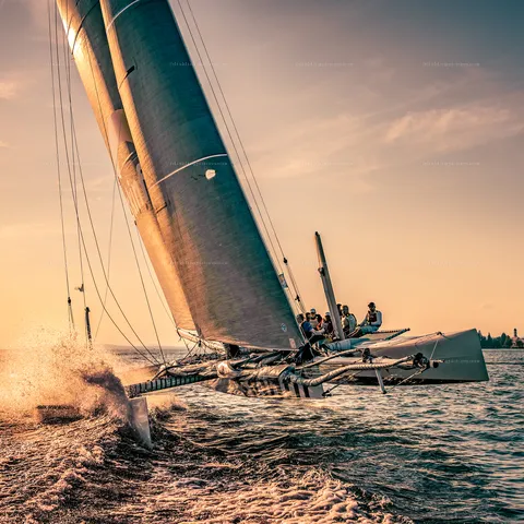Rund Um 2022 – Sport, Segeln – Bild 20 von 38
