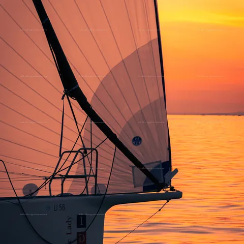 Rund Um 2023 – Segeln – Bild 46 von 48