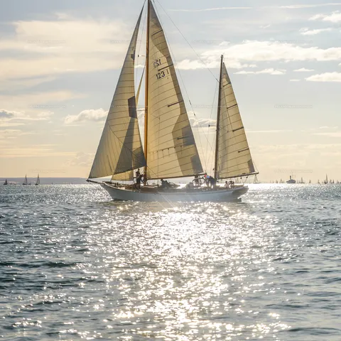 Rund Um 2026, Lindau Bodensee – Segeln – Bild 40 von 40
