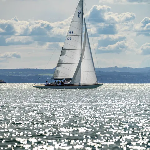 Rund Um 2026, Lindau Bodensee – Segeln – Bild 26 von 40