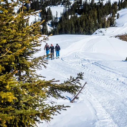 Skitour Allgäu – Landscape, Sport, Reportage – photo 14 of 25