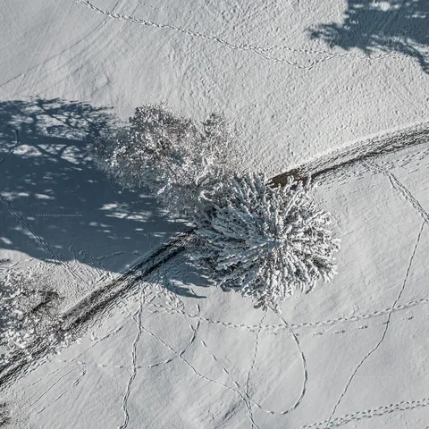 Winter landscape. Lindau Bodensee – Landschaft – Bild 7 von 26